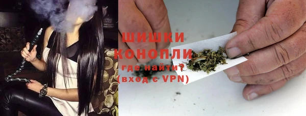 индика Коряжма