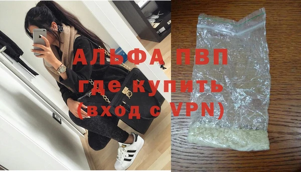 индика Коряжма
