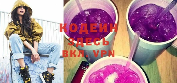 индика Коряжма
