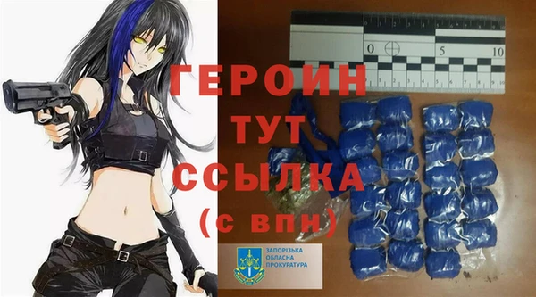 индика Коряжма