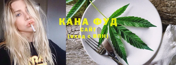 индика Коряжма