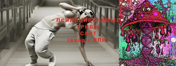мяу мяу кристалл Корсаков