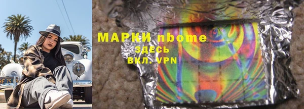 индика Коряжма