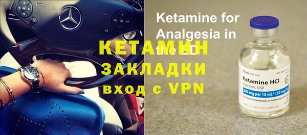 индика Коряжма