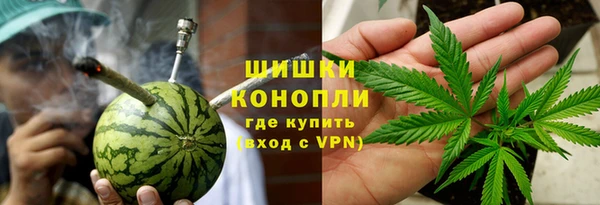 индика Коряжма